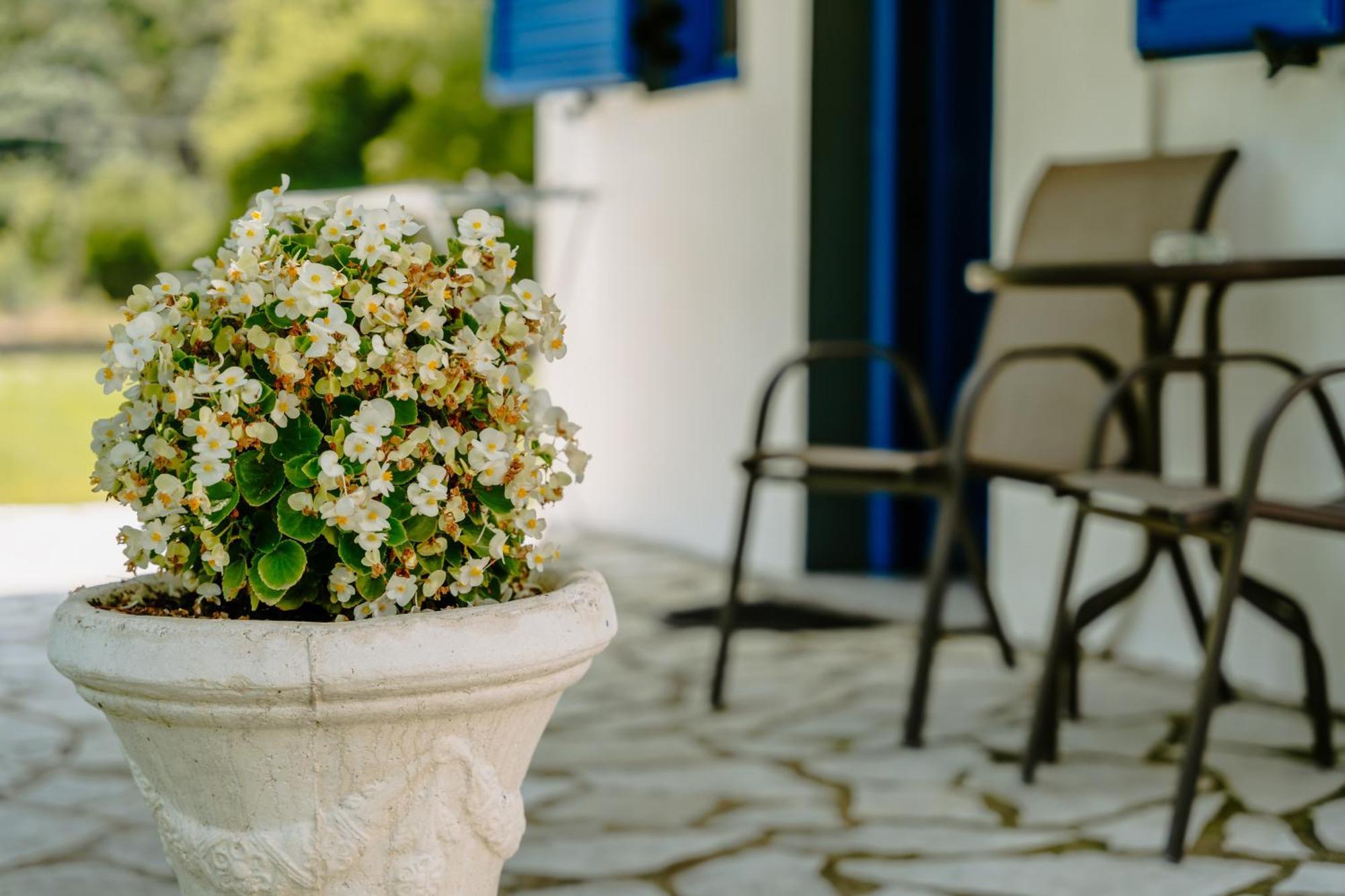 Villa Marina ペルディカ エクステリア 写真